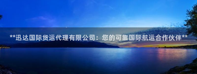 尊龙凯时logo：**迅达国际货运代理有限公司：您的可靠